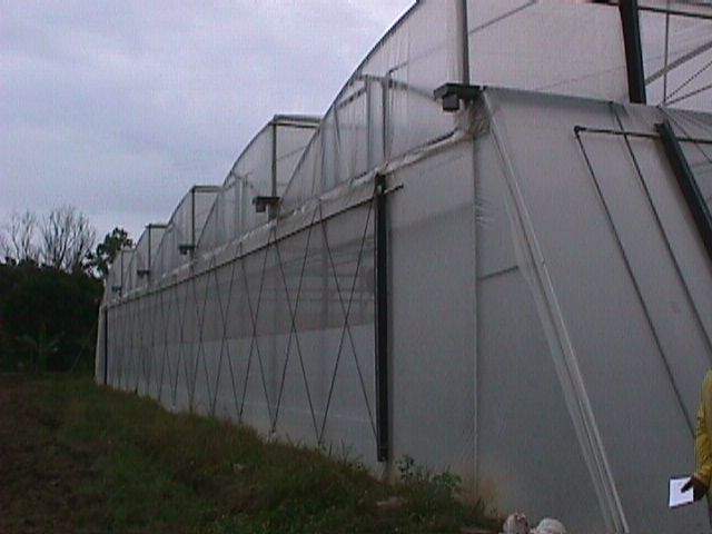 Greenhouse Project 7